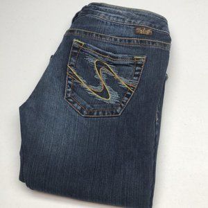 RETRO SILVER TUESDAY FLARE BOOTS JEANS 28x35 ⭐️